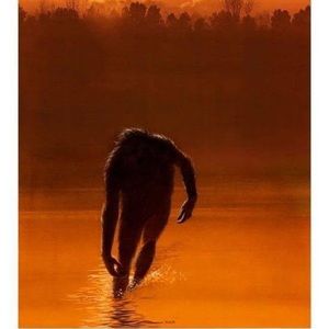 Meet your Posher, Jeff